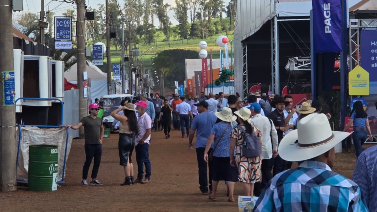 Confira quais foram os destaques