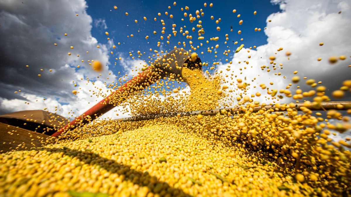 curso agronegócio
