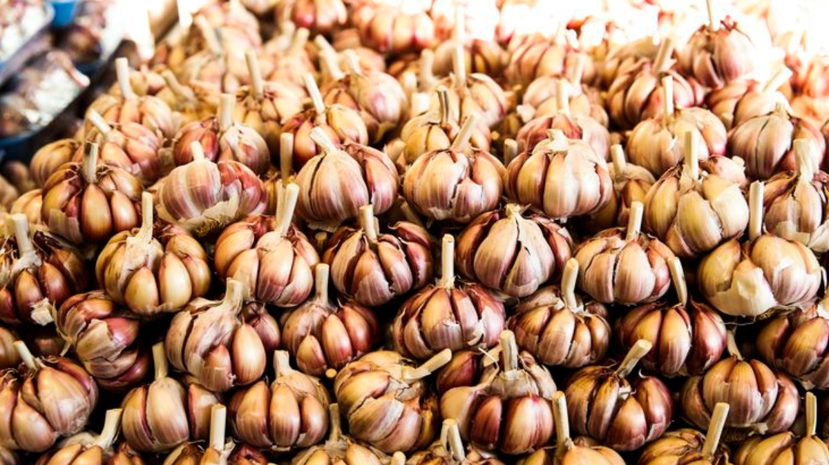 alho nos alimentos