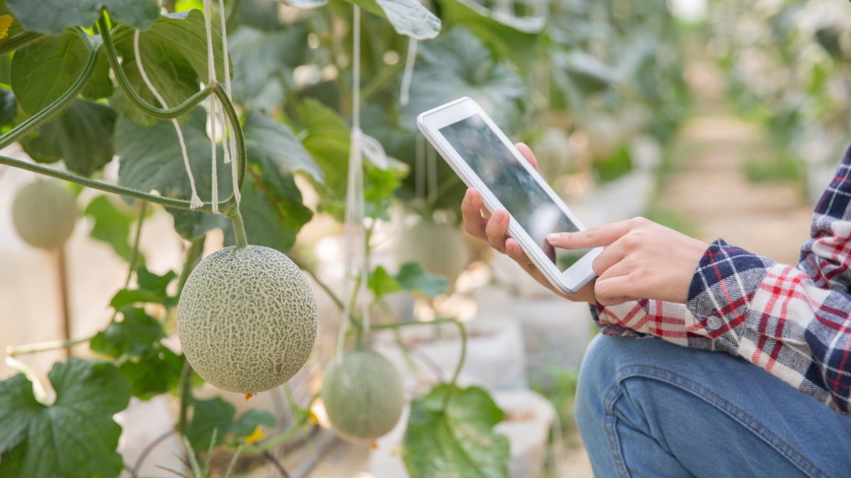 agtech no Brasil