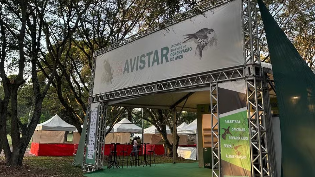 Avistar 2025