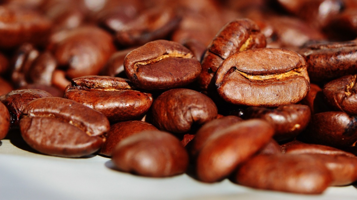 exportação café Franca