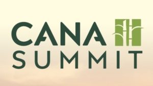 Cana Summit