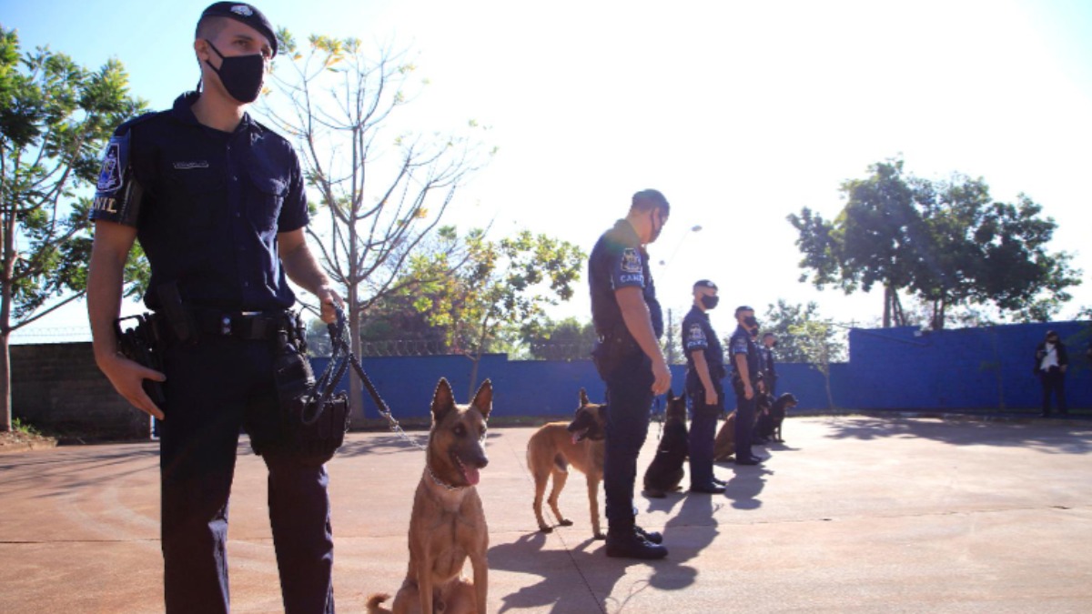 concurso GCM Ribeirão Preto