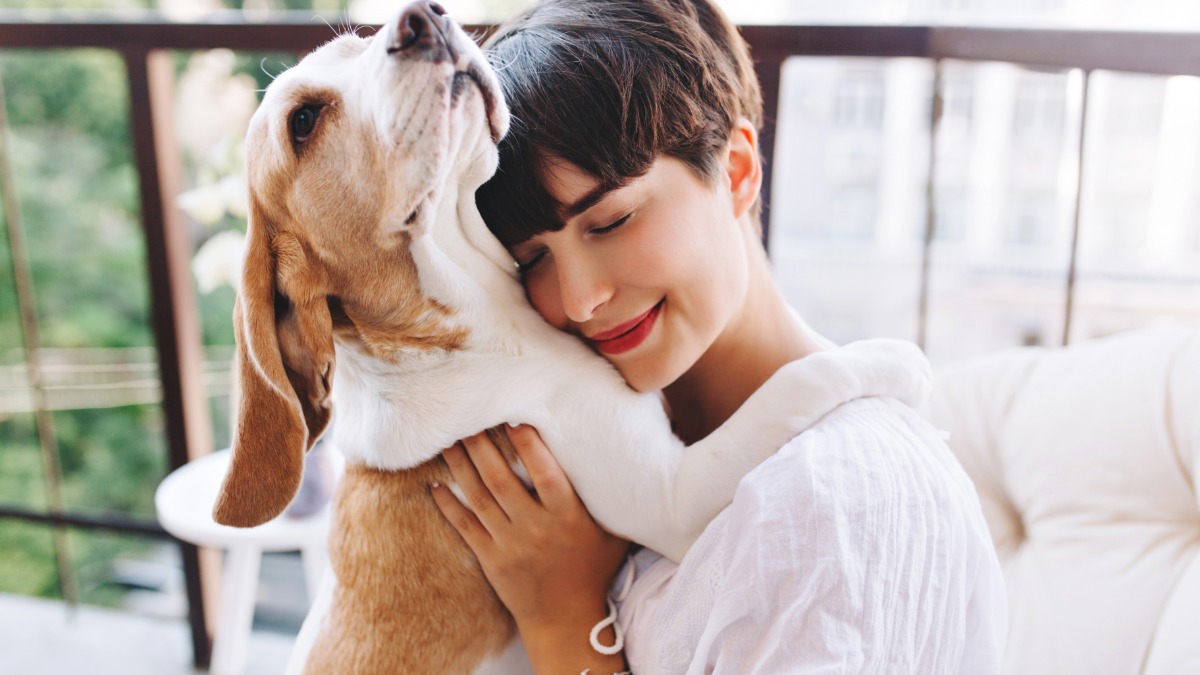 Você sabia que interagir com pets