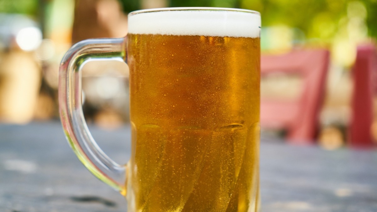 paladar cerveja