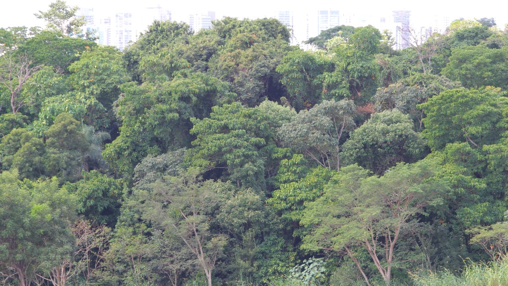 Código do Meio Ambiente