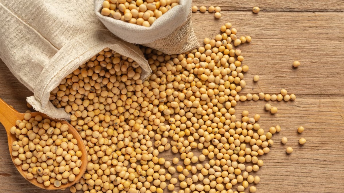 Produtores da região investem na produção
