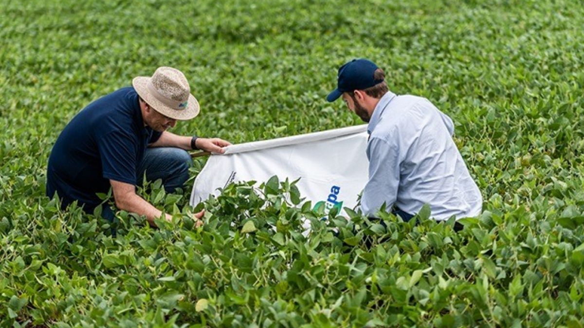 empregos agronegócio Brasil