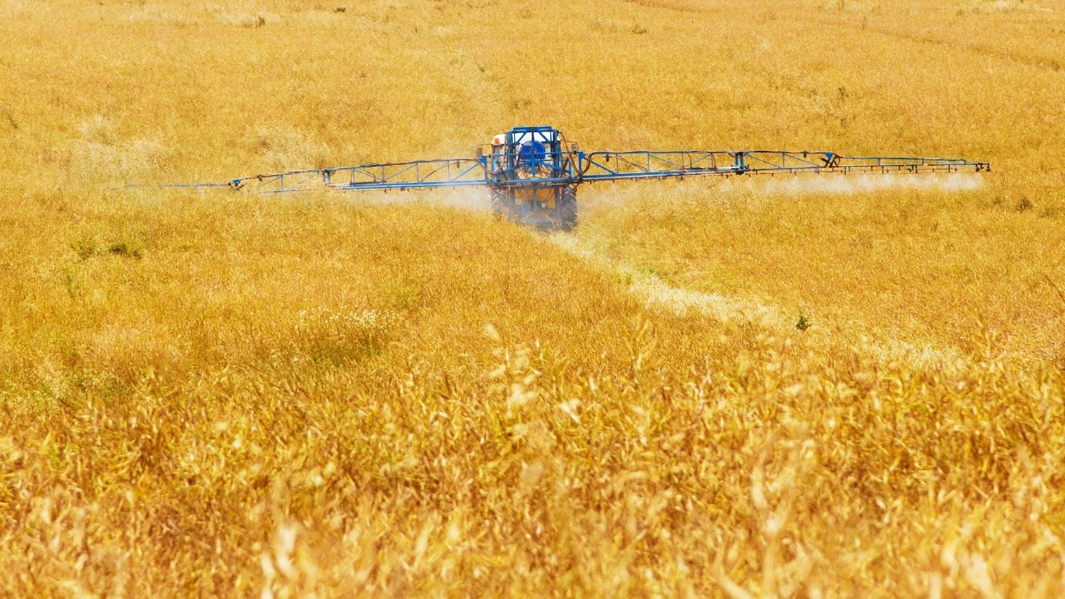 fertilizantes