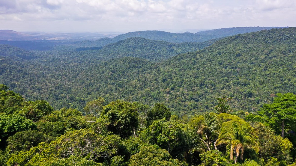 parques ecológicos