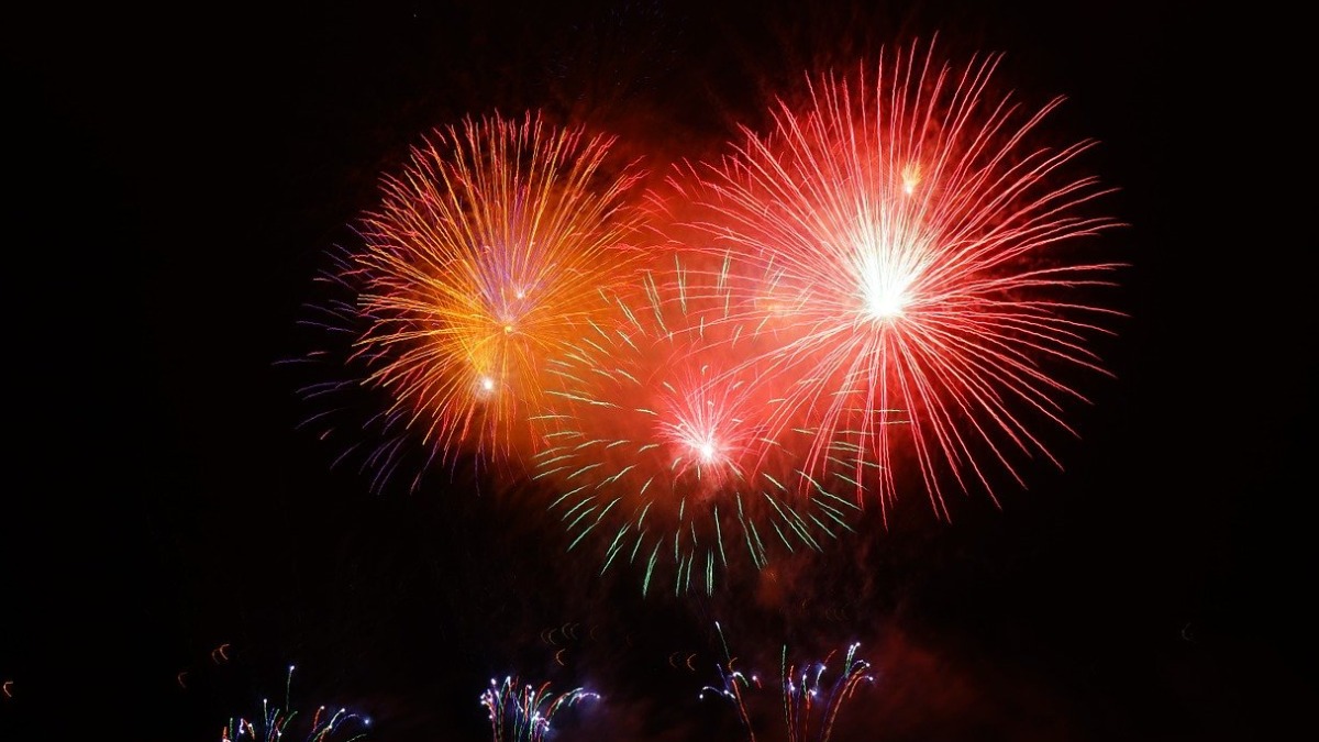 fogos de artifício e animais