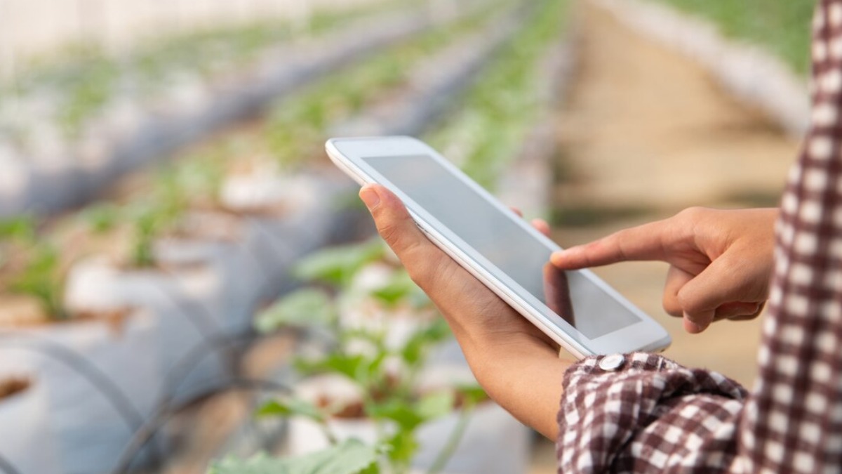 Tecnologia surge como aliada para amenizar
