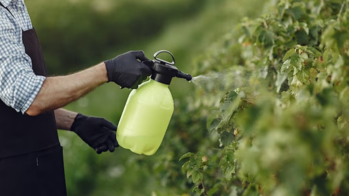 saúde humana defensivos agrícolas