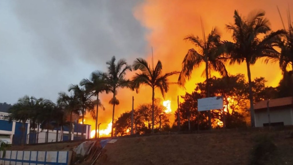 Que prejuízo causados pelos incêndios ao