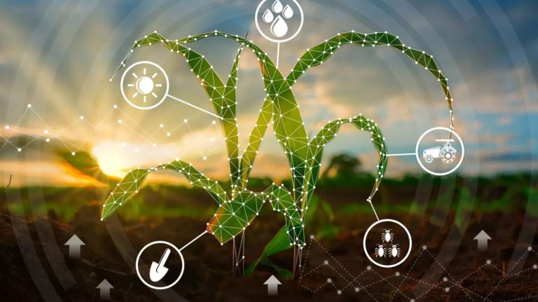 Inteligência artificial é aliada no melhoramento