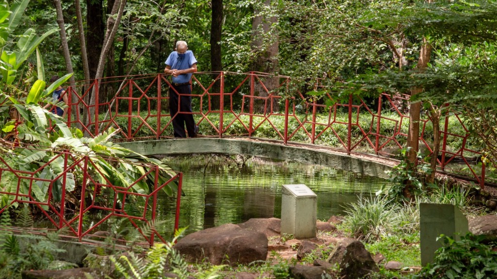 Jardim Japonês Ribeirão