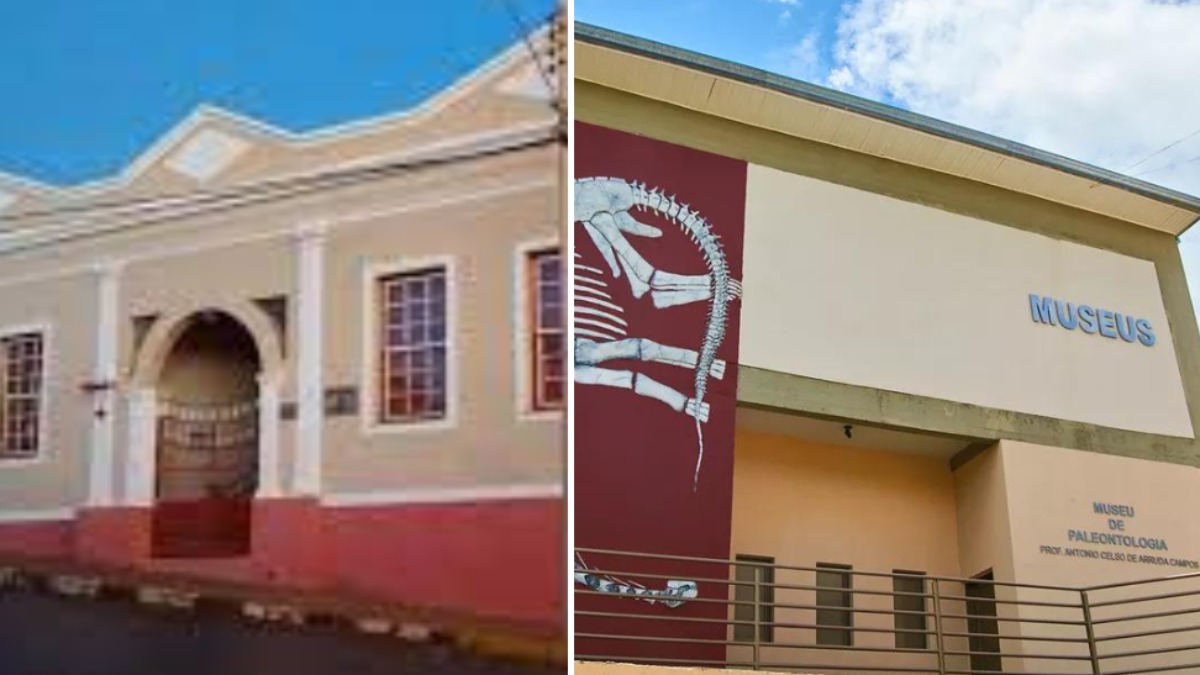 habitação indígena Ribeirão Preto