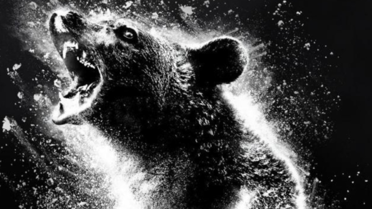 Urso do Pó Branco