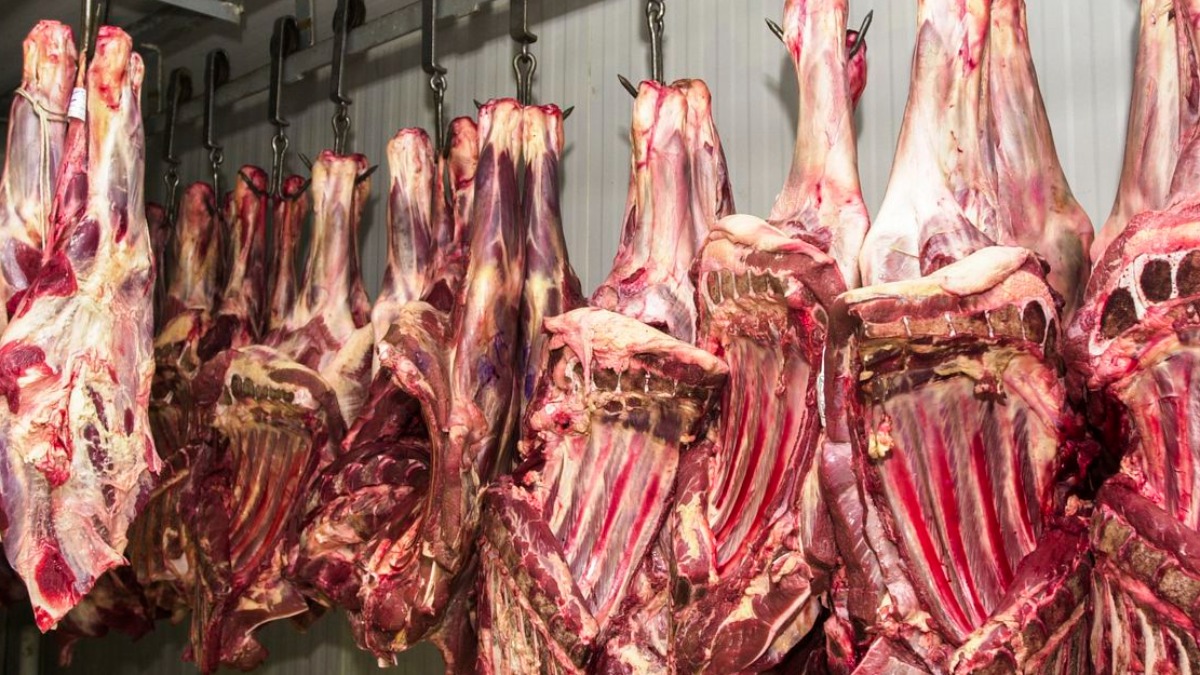 exportações carne bovina