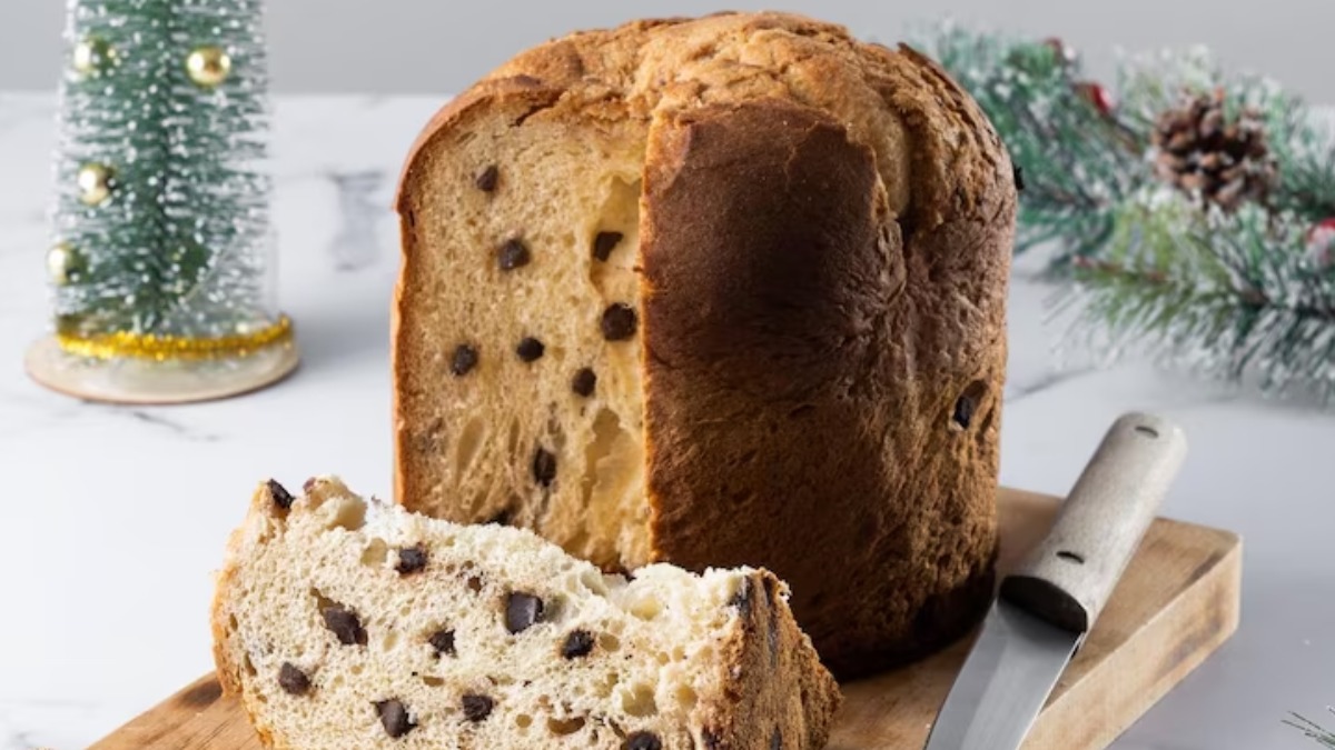 chocotone panetone