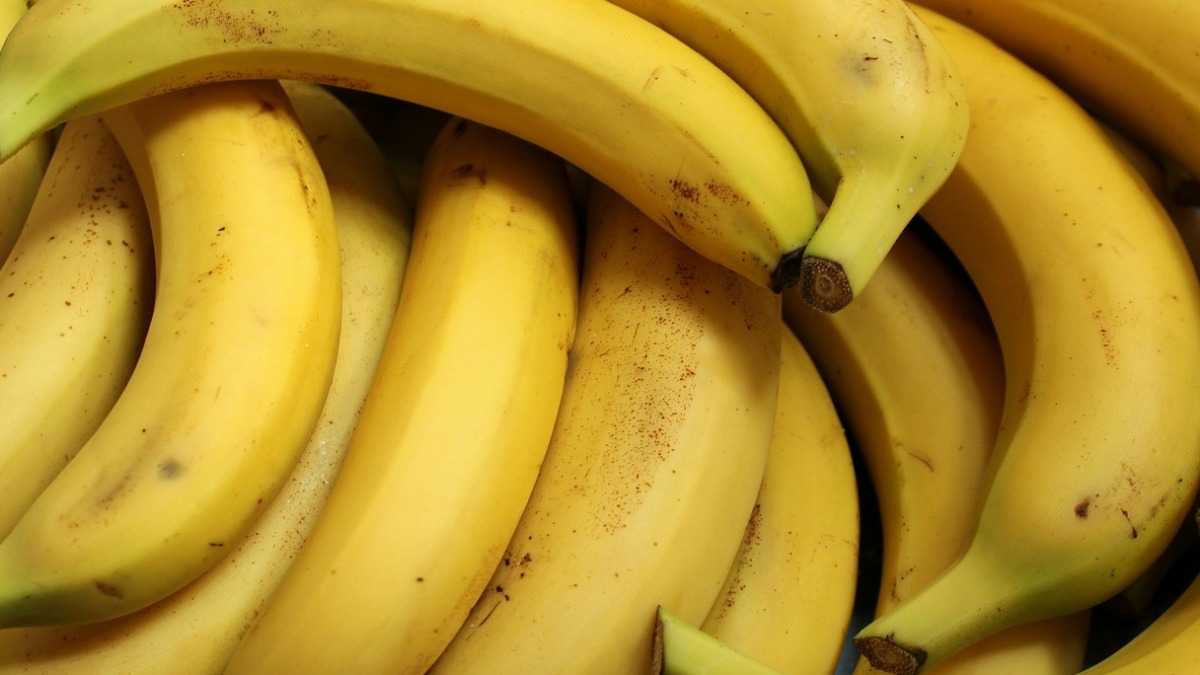 plástico casca de banana