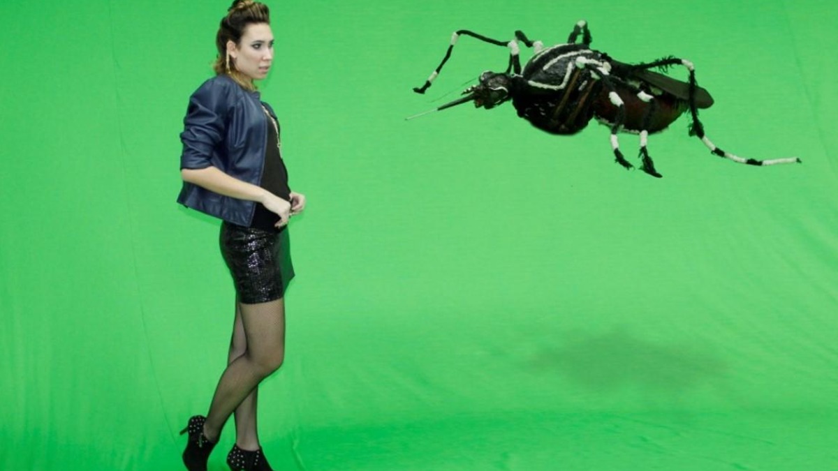 dengue