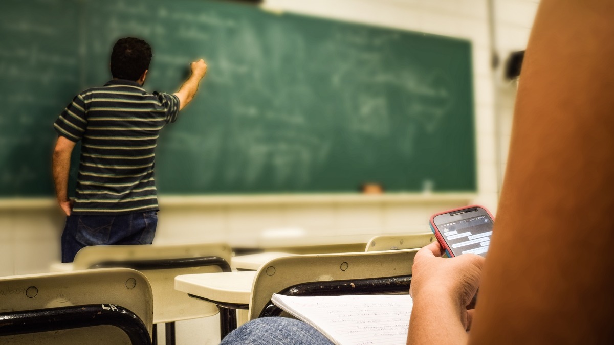 Lei de educação Ribeirão