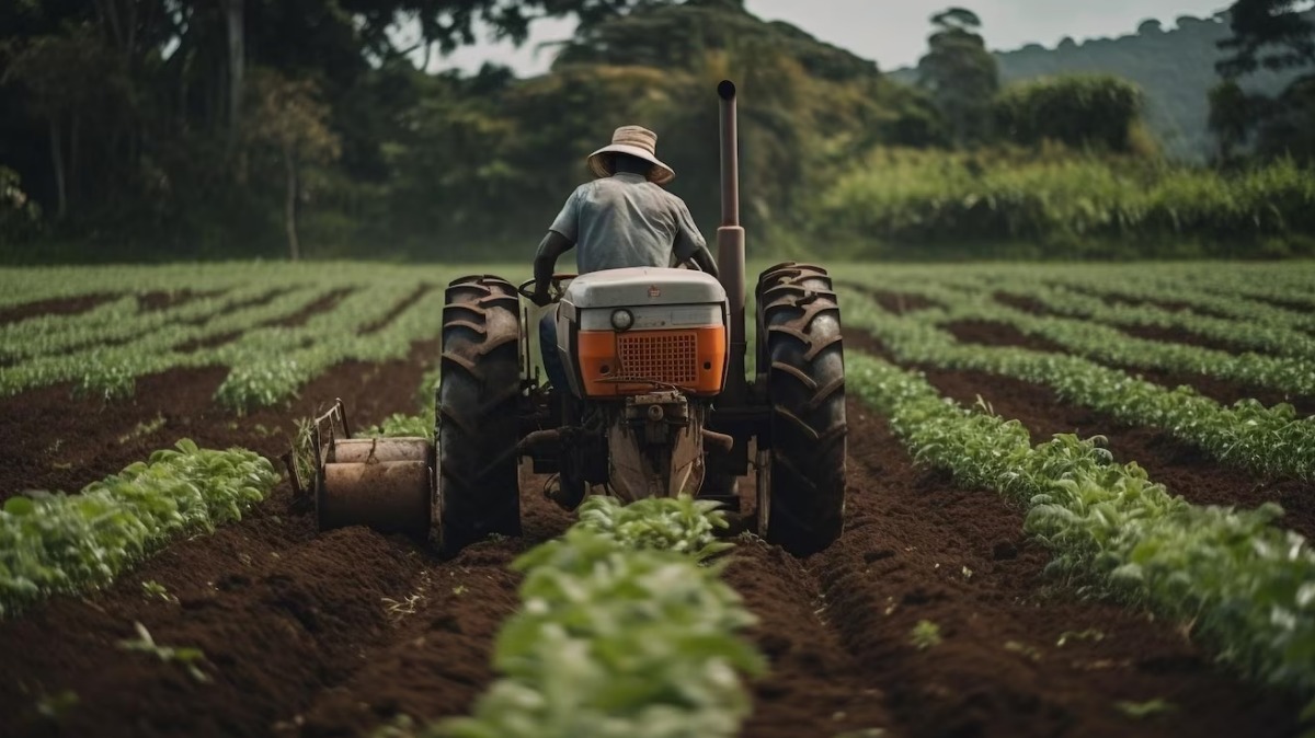 exportação agronegócio paulista