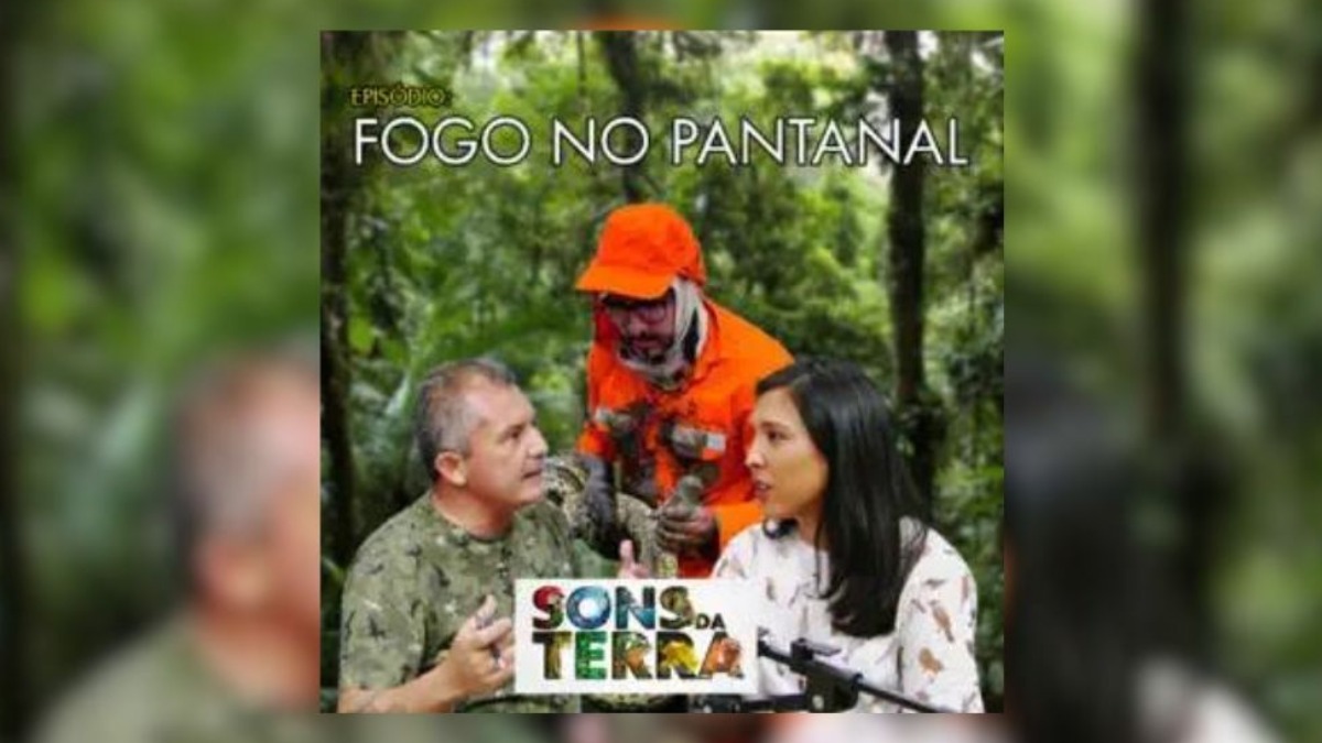 Pantanal enfrenta situação crítica por causa