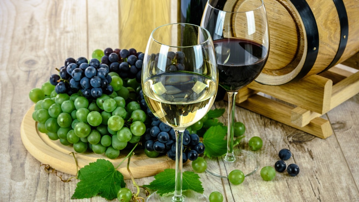 vinho antigo