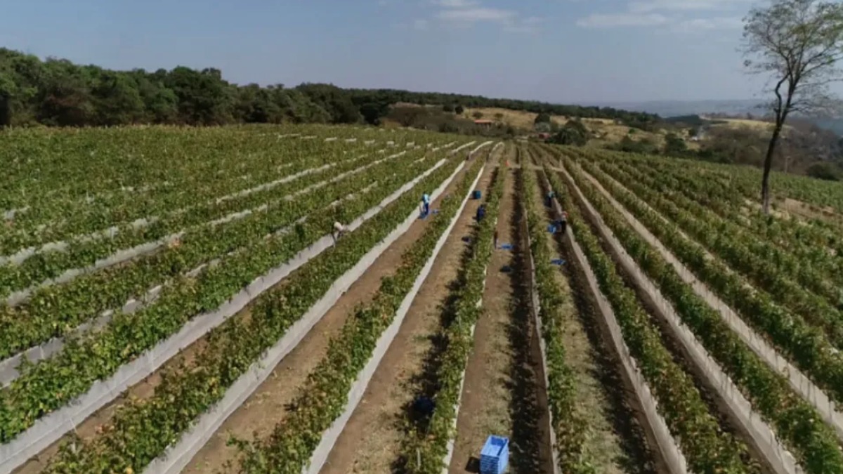 mudanças climáticas