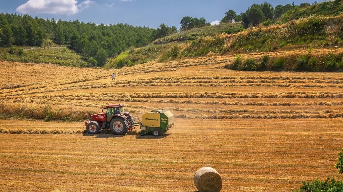 palestras mundo pós-pandemia agro