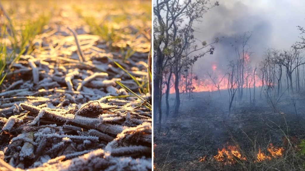 ações climáticas