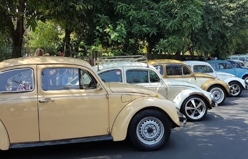 Fusca aniversário