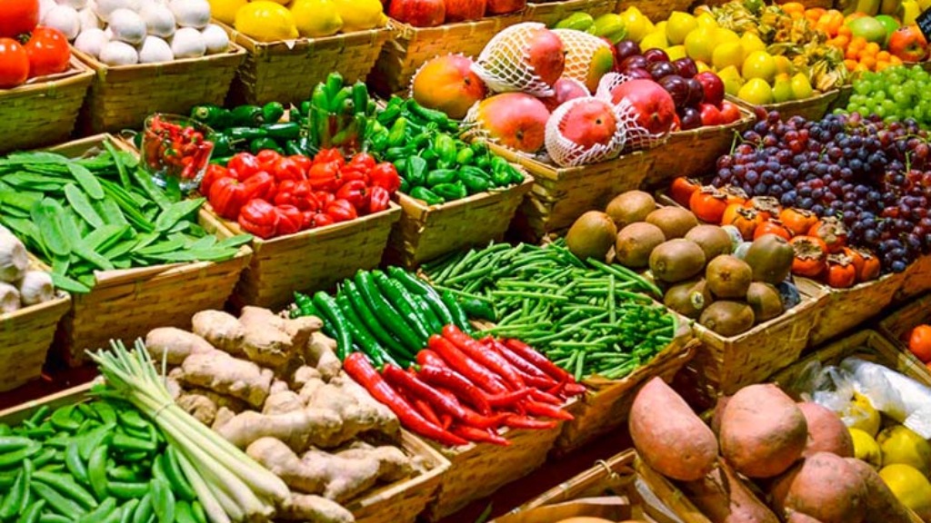 alimentos contra câncer