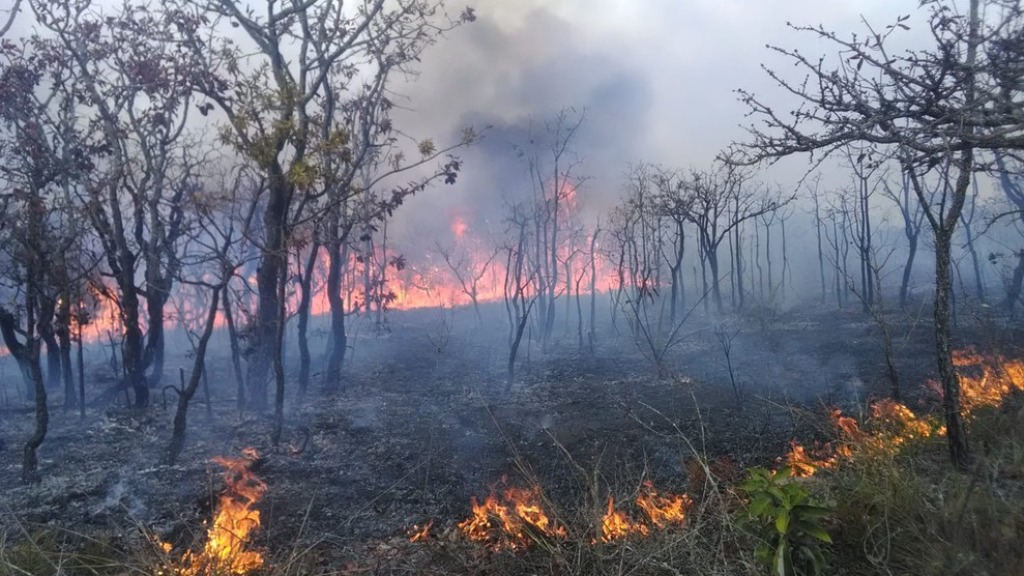 incêndios florestais