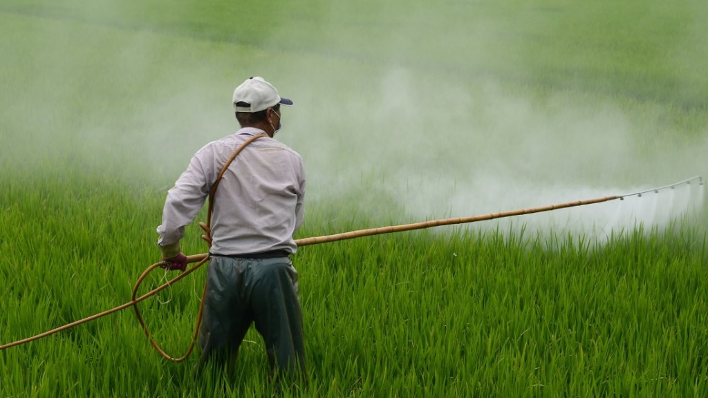 mundo do agro