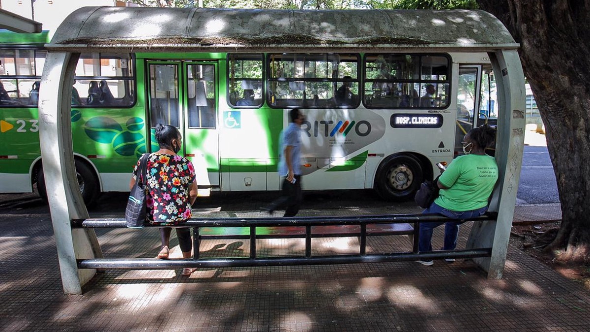 salários atrasados transporte público