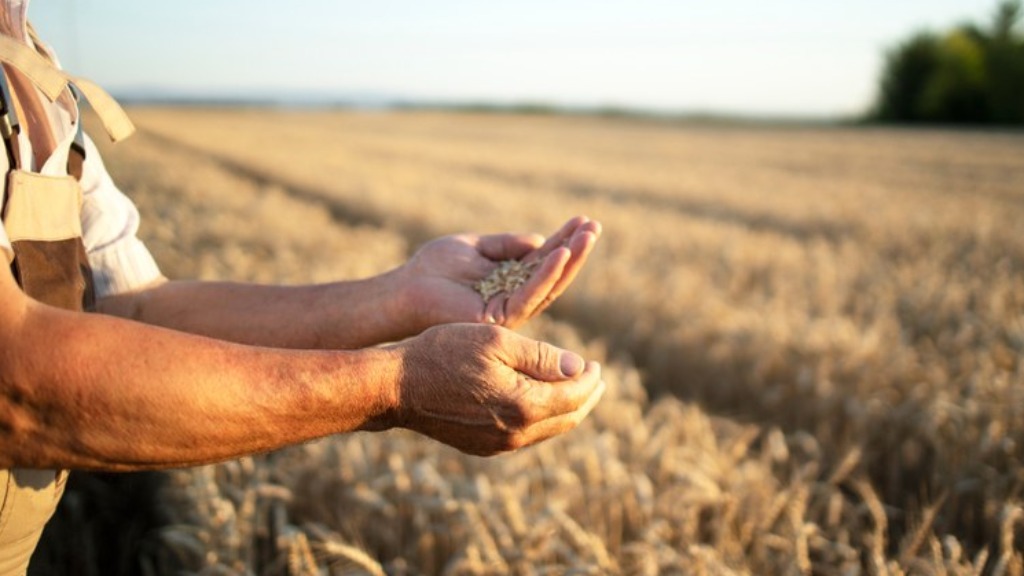 crédito rural