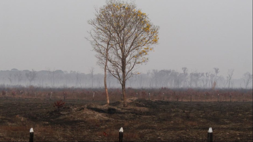agenda ambiental eleições Alemanha