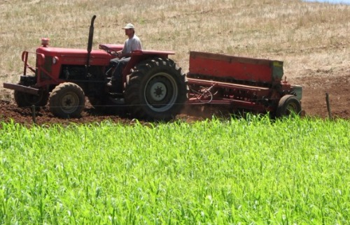 PIB agropecuário