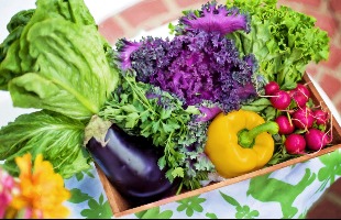 dietas plant-based e vegetariana