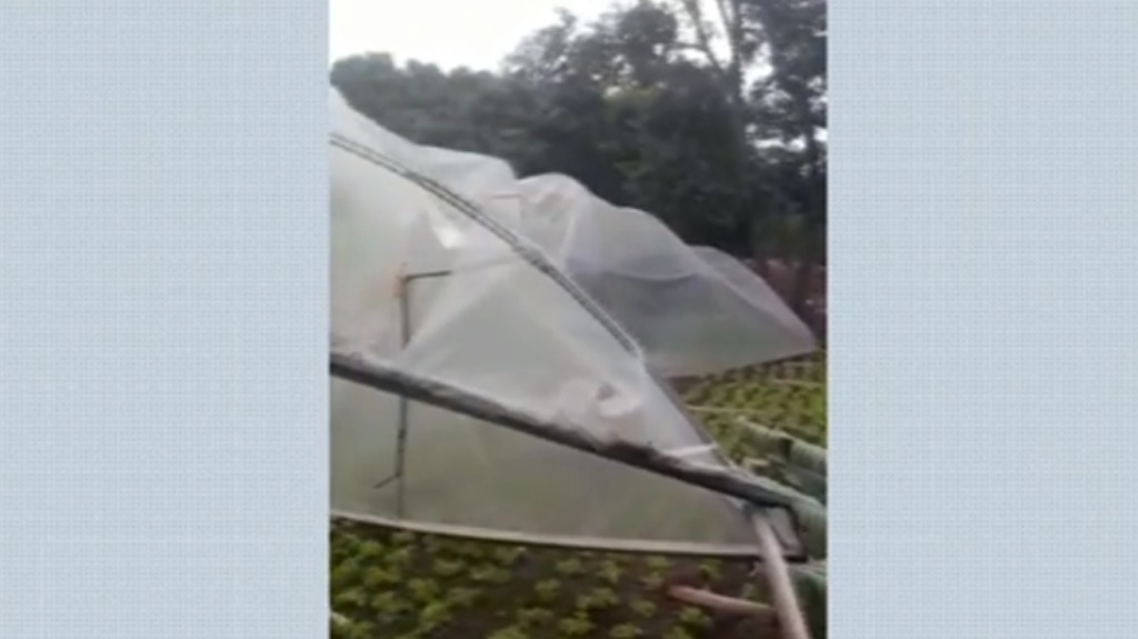 prejuízos temporal Cajuru
