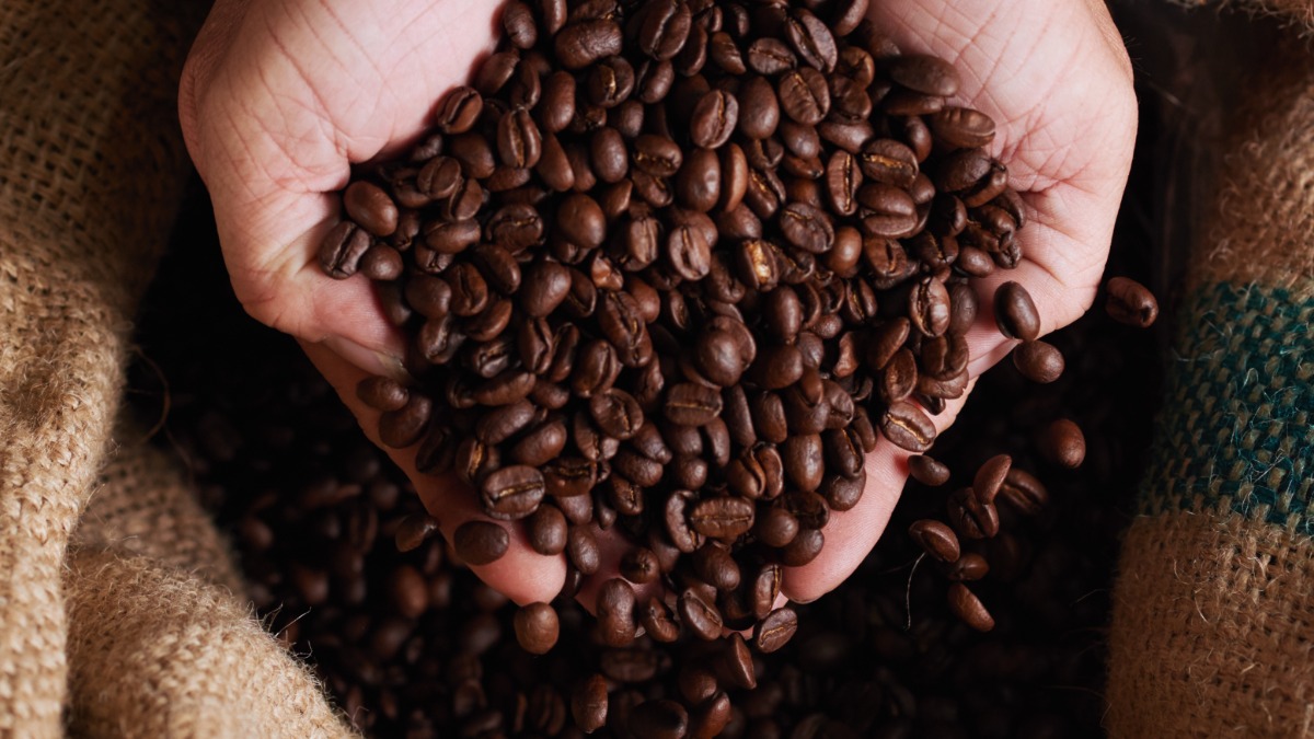 setor cafeeiro exportar