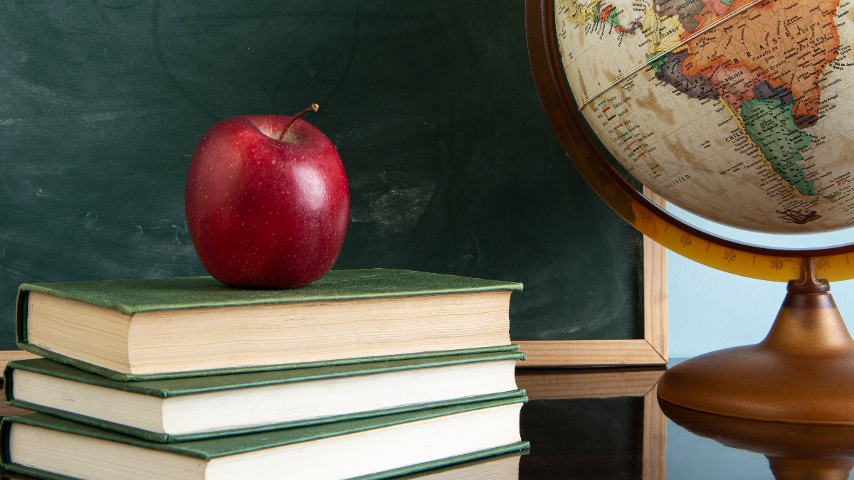 Professores valorizar profissionais