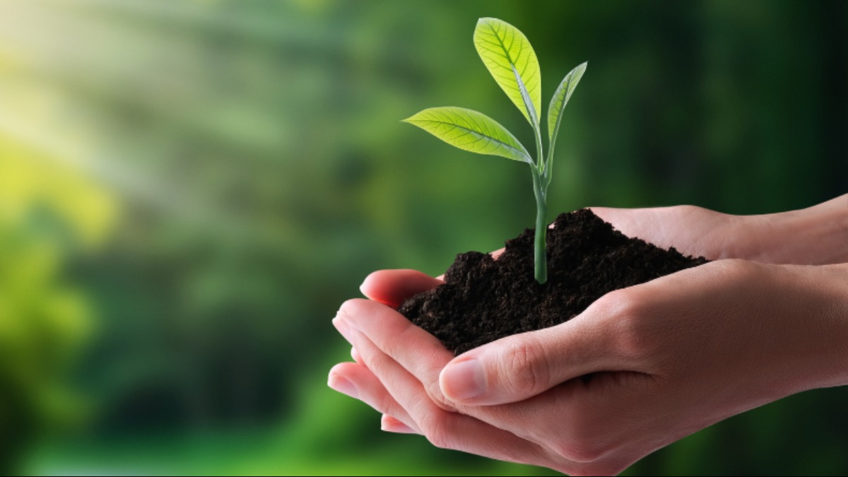 Sustentabilidade para o planeta