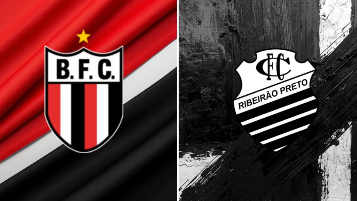 Botafogo Série B
