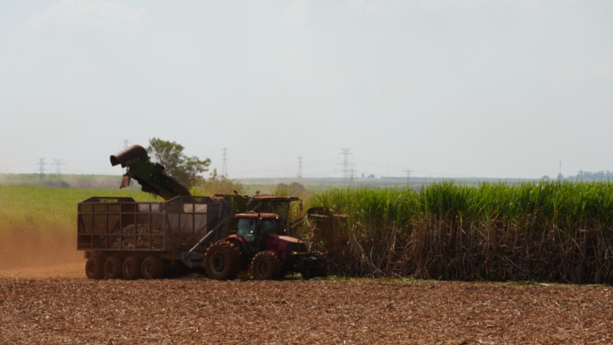 Seguro agrícola