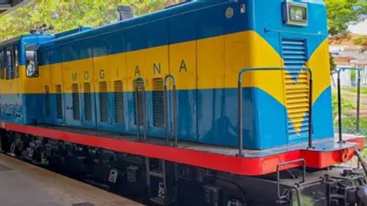 Passeio de trem